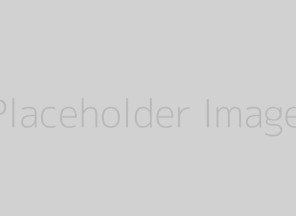 Portfolio Item 5